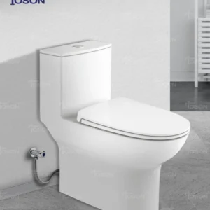 One-Piece Toilet