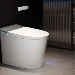 Smart Toilet
